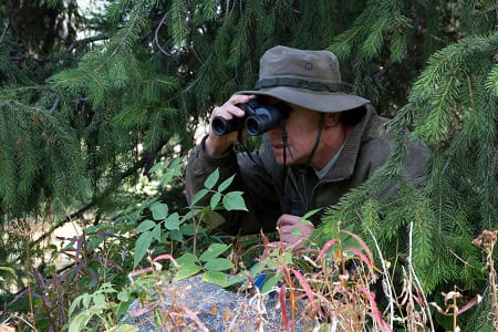 диплом егеря